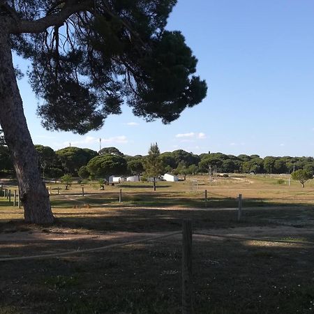 Beach Falesia Alfamar Albufeira Ngoại thất bức ảnh