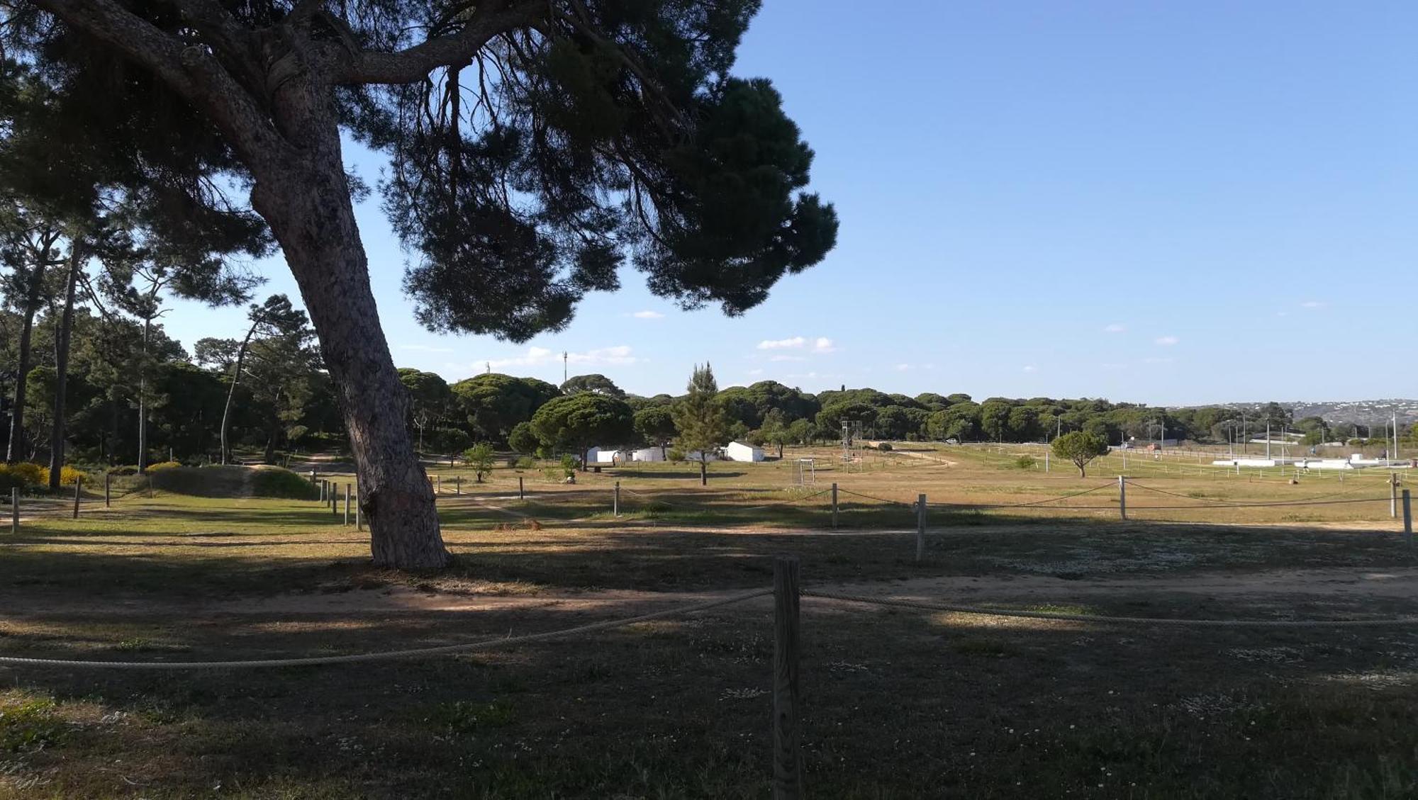 Beach Falesia Alfamar Albufeira Ngoại thất bức ảnh
